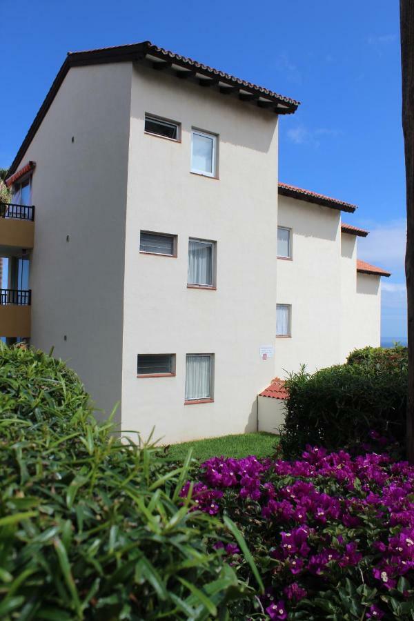 Holidaynorthtenerife Exotic Apartament Los Realejos Exterior foto