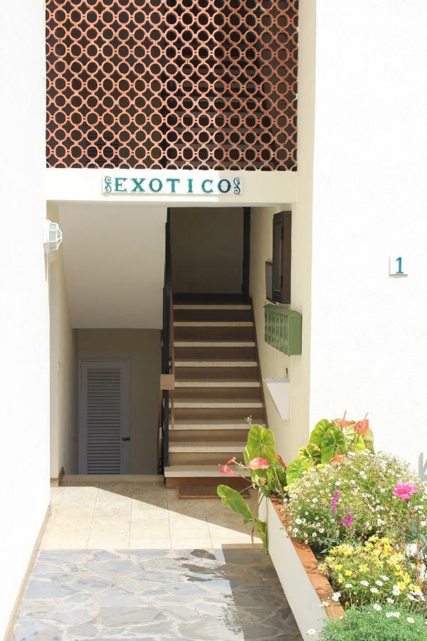Holidaynorthtenerife Exotic Apartament Los Realejos Exterior foto