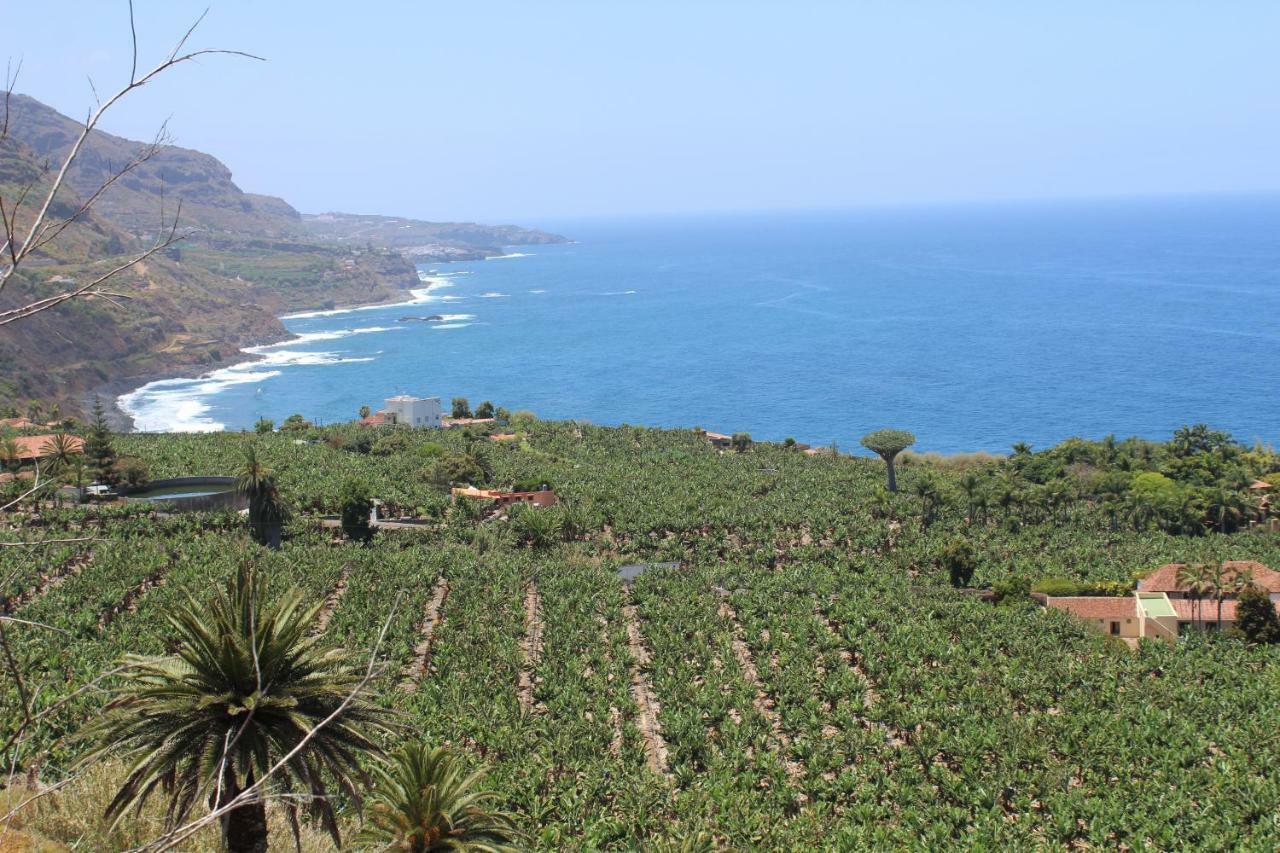 Holidaynorthtenerife Exotic Apartament Los Realejos Exterior foto