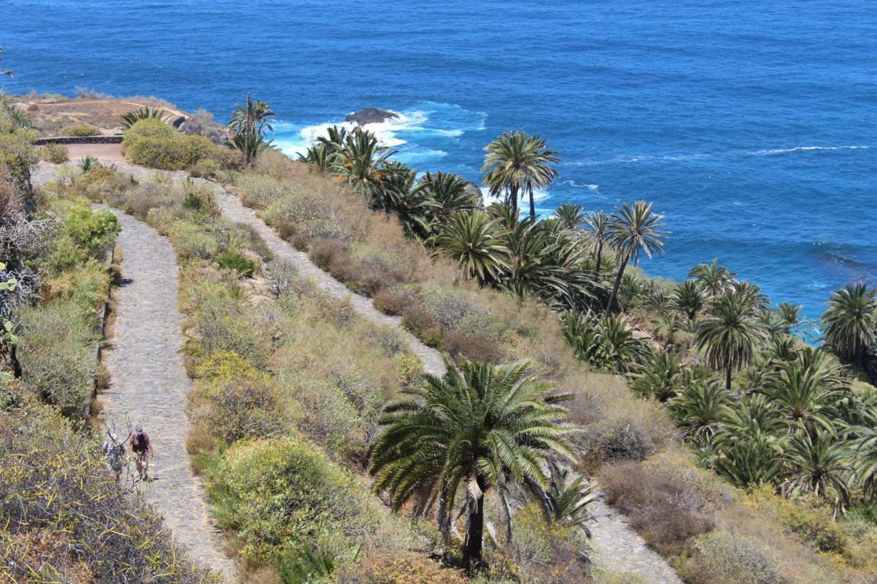 Holidaynorthtenerife Exotic Apartament Los Realejos Exterior foto